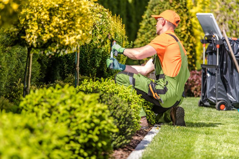 Landscaping Maintenance detail
