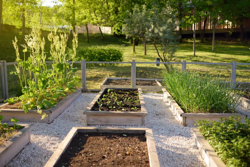 Garden Bed Design
