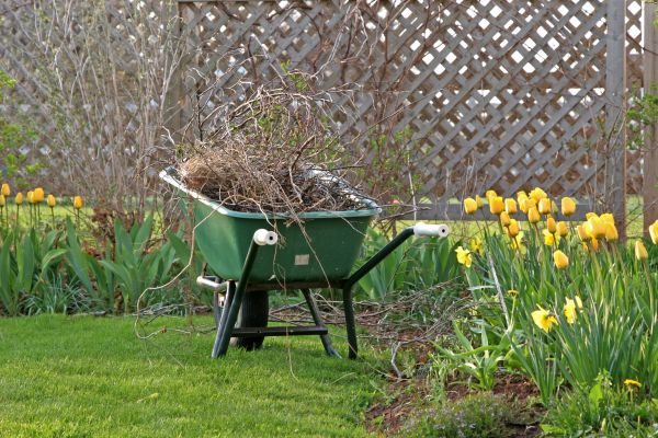 Flower Bed Cleanup Service in Crown Point
