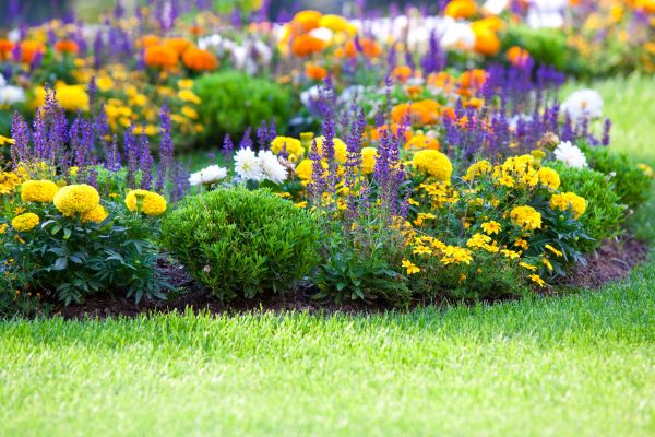 Flower Bed Maintenance in Crown Point