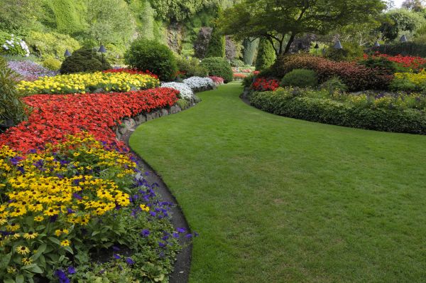 Landscaping Maintenance in Crown Point