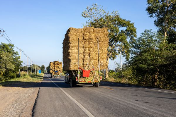 Pine Straw Delivery in Crown Point