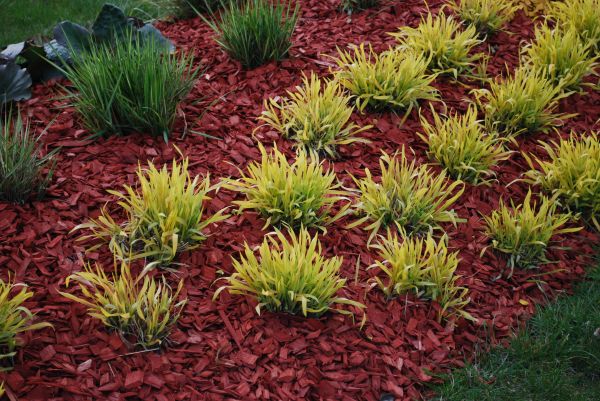 Mulch Landscaping in Crown Point