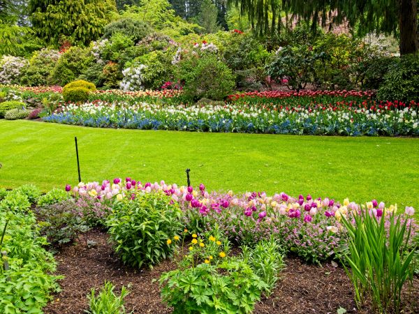 Residential Landscape Design in Crown Point