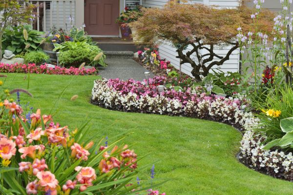 Perennial Landscaping in Crown Point