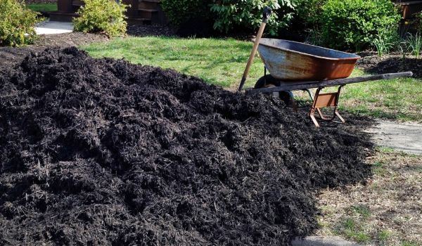 Black Mulch Installation in Crown Point