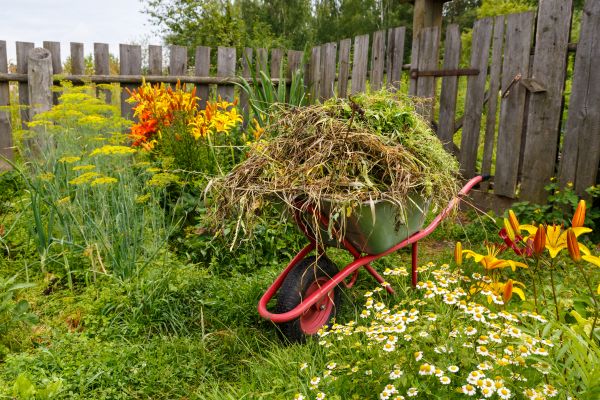 Garden Cleanup Service in Crown Point