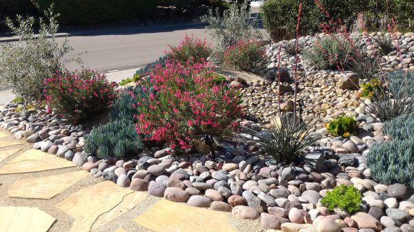 Xeriscape Landscaping in Crown Point