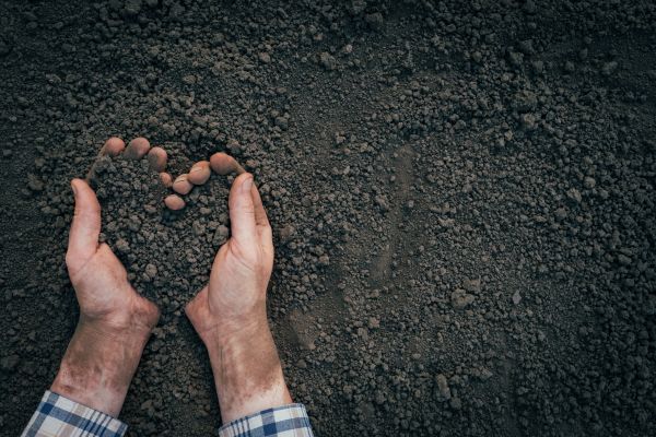 Soil Installation in Crown Point