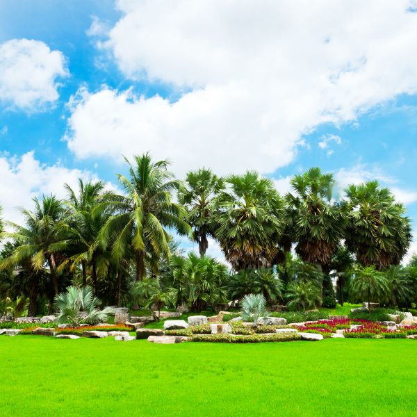 Tropical Landscaping in Crown Point