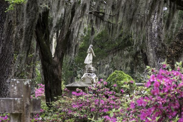 Cemetery Landscaping in Crown Point