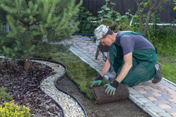 Landscaping Modification in Crown Point