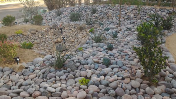 Yard Xeriscaping in Crown Point