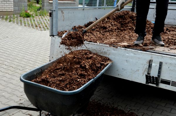 Cedar Mulch Delivery in Crown Point