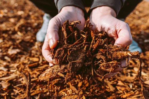 Bark Chips Delivery in Crown Point