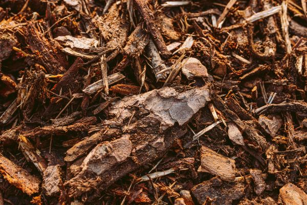 Bark Mulch Delivery in Crown Point