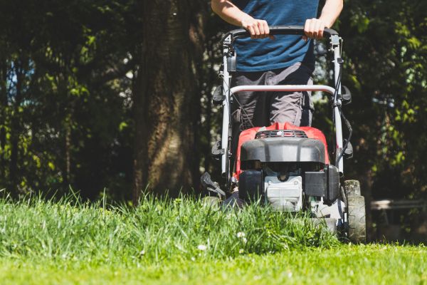 Garden Trimming Service in Crown Point