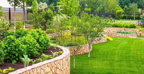 Yard Makeover Service in Crown Point