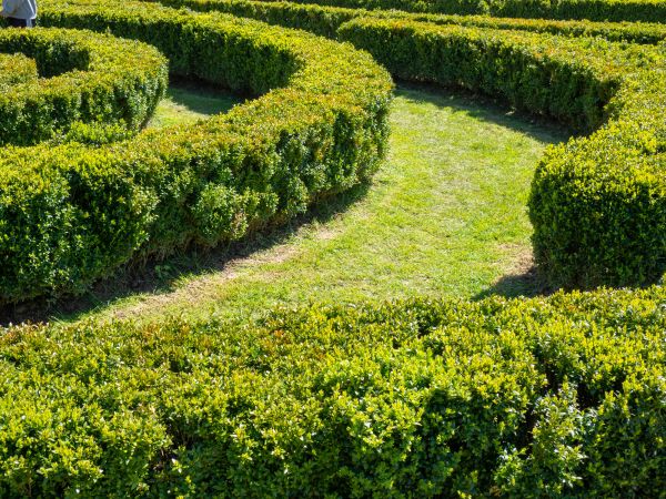 Bush Landscaping in Crown Point