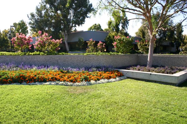 Commercial Landscape Service in Crown Point