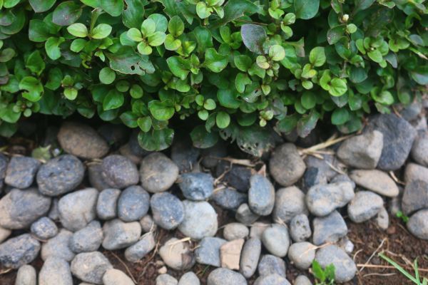 River Stone Installation in Crown Point