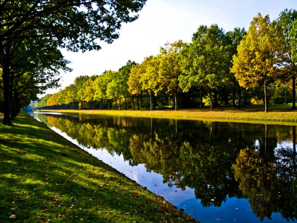 Bank Landscaping in Crown Point