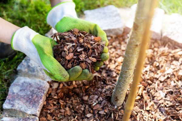 Tree Bark Delivery in Crown Point