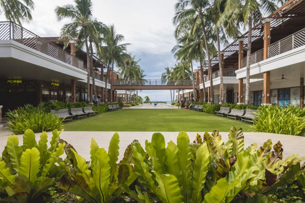 Commercial Lawn Renovation in Crown Point