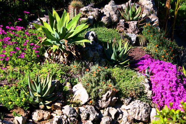 Garden Rock Landscaping