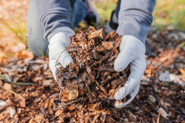 Shredded Mulch Installation in Crown Point