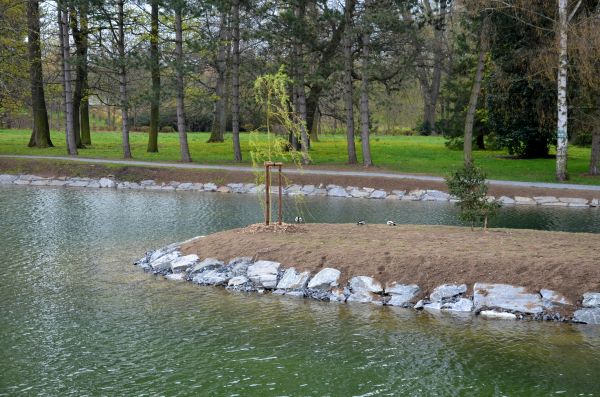 Pond Landscaping Service in Crown Point