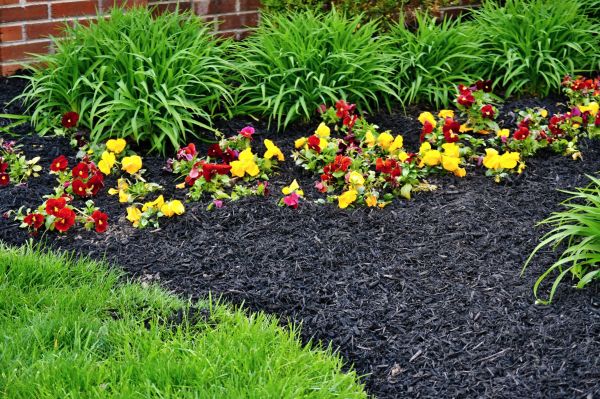 Apartment Mulching in Crown Point